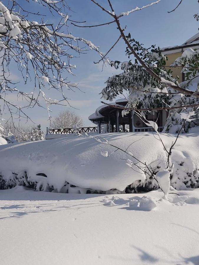 Bizim Ev Villa Sapanca Bagian luar foto