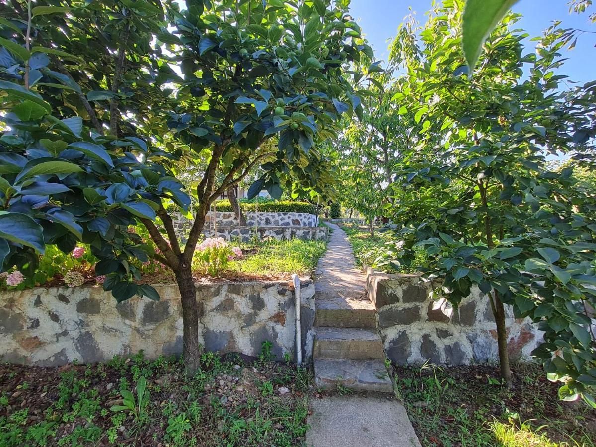 Bizim Ev Villa Sapanca Bagian luar foto