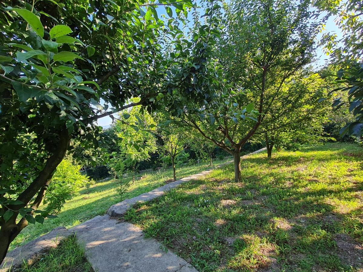 Bizim Ev Villa Sapanca Bagian luar foto