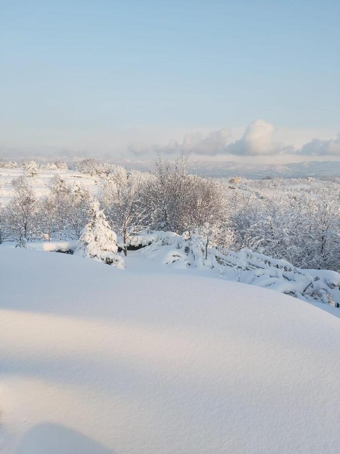 Bizim Ev Villa Sapanca Bagian luar foto